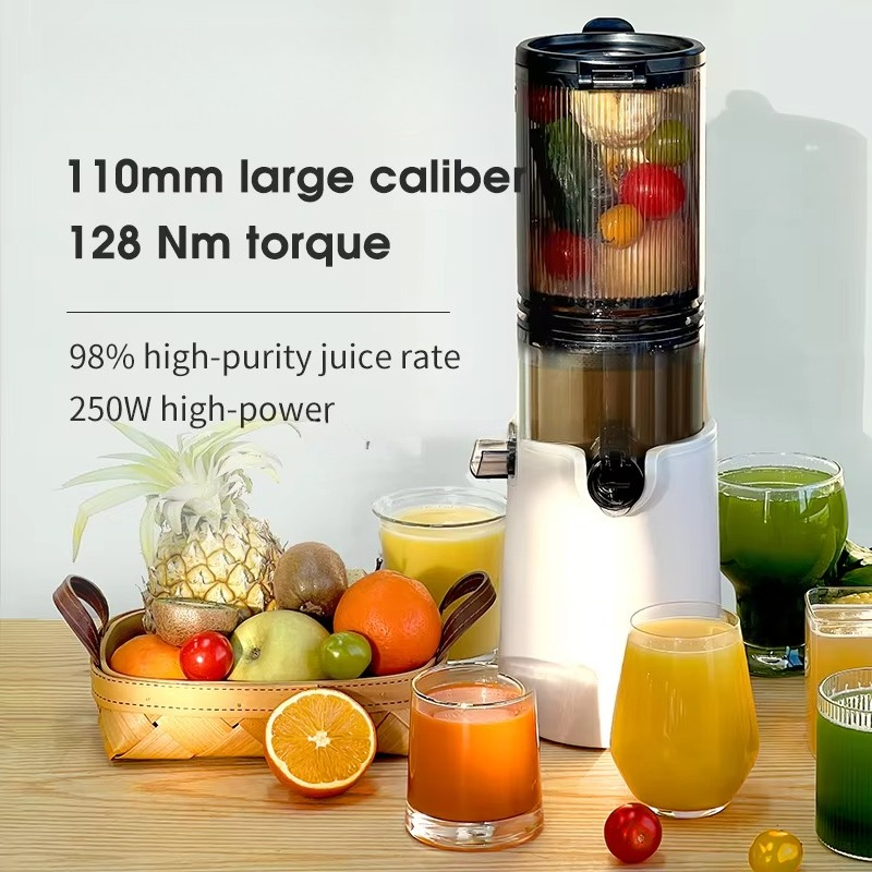 Cold Press Juicer - Venda quente boca grande imprensa fria