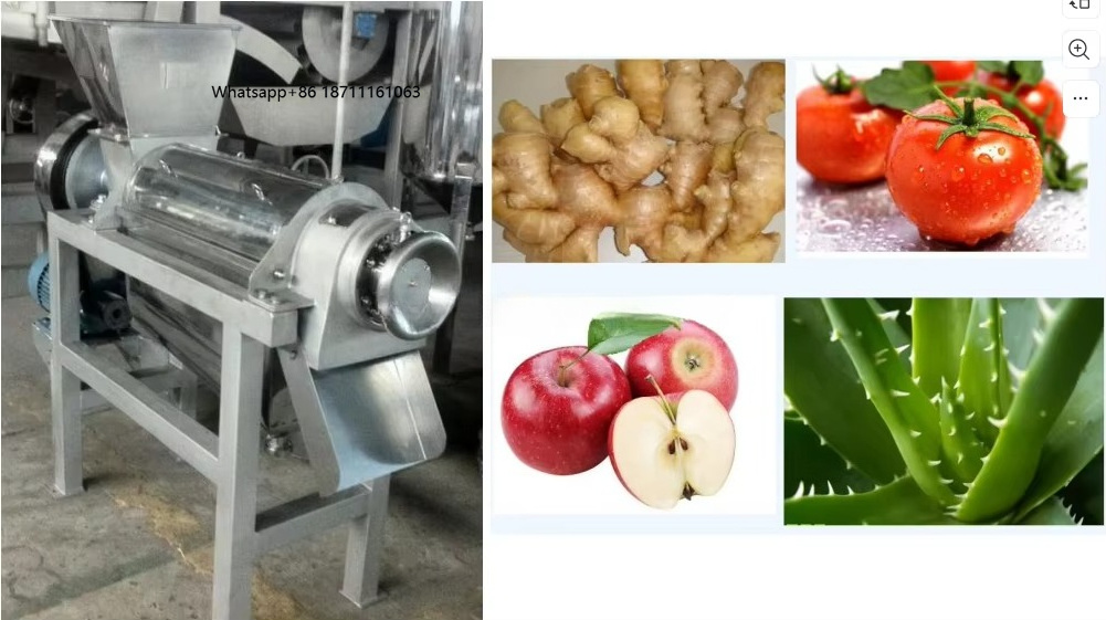 Máquina Extratora de Suco Indu - Cold Press Juicer avaliação e preço