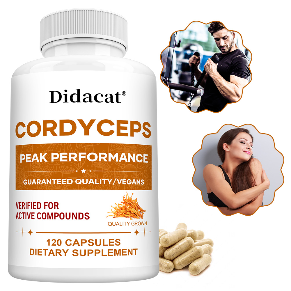 Cápsulas de Cogumelo Cordyceps - Health Wellness And avaliação e preço