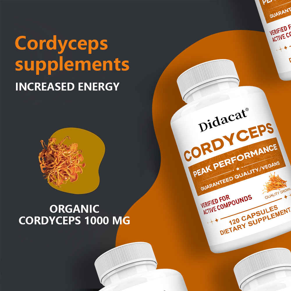Cápsulas de Cogumelo Cordyceps - Health Wellness And avaliação e preço