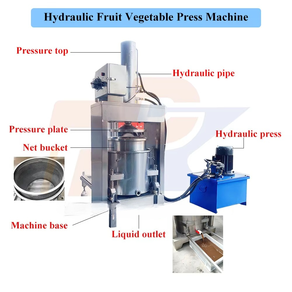 Extratores de Frutas e Tritura - Cold Press Juicer avaliação e preço